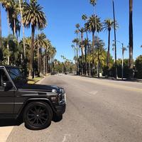 Отзыв от Степан - виза ДТВ